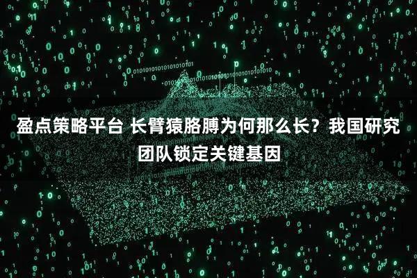 盈点策略平台 长臂猿胳膊为何那么长?我国研究团队锁定关键基因