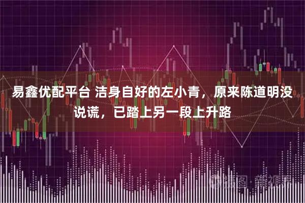 易鑫优配平台 洁身自好的左小青，原来陈道明没说谎，已踏上另一段上升路