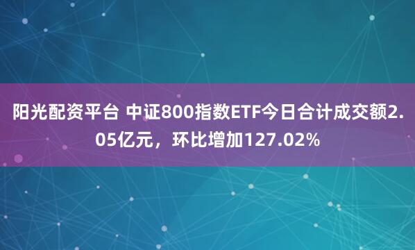 阳光配资平台 中证800指数ETF今日合计成交额2.05亿元，环比增加127.02%
