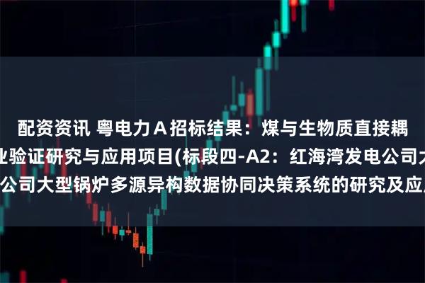 配资资讯 粤电力Ａ招标结果：煤与生物质直接耦合发电系统集成及工业验证研究与应用项目(标段四-A2：红海湾发电公司大型锅炉多源异构数据协同决策系统的研究及应用）中标候选人公示